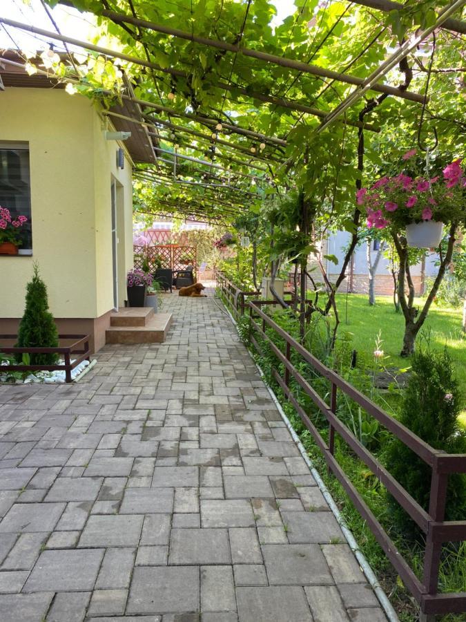 Casa Lui Mamaia Hotel คอนสตันซา ภายนอก รูปภาพ
